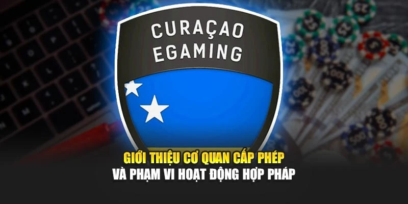 Giới thiệu cơ quan cấp phép và phạm vi hoạt động hợp pháp